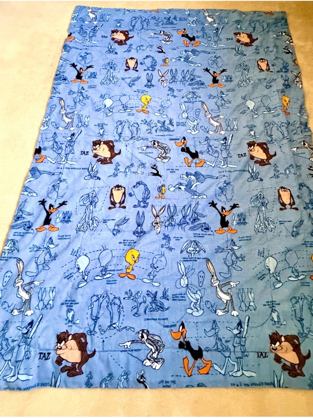 1996 Vintage Looney Tunes “Blueprint” Twin Size Comforter - Warner Bros/EUC